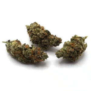 Black Lemon Breath Strain Medical Cannabis Flower