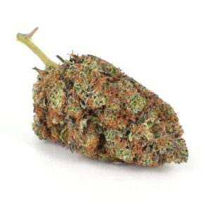 Captain’s Cake (AAA)