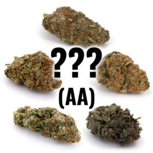 1 Pack Mystery Strain (AA)