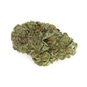 Prescription-grade Gorilla Glue 4 strain medical cannabis flower covered in heavy sticky resin trichomes and amber pistils