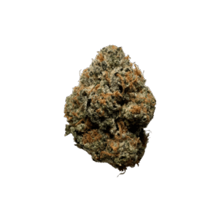 Stardawg Strain