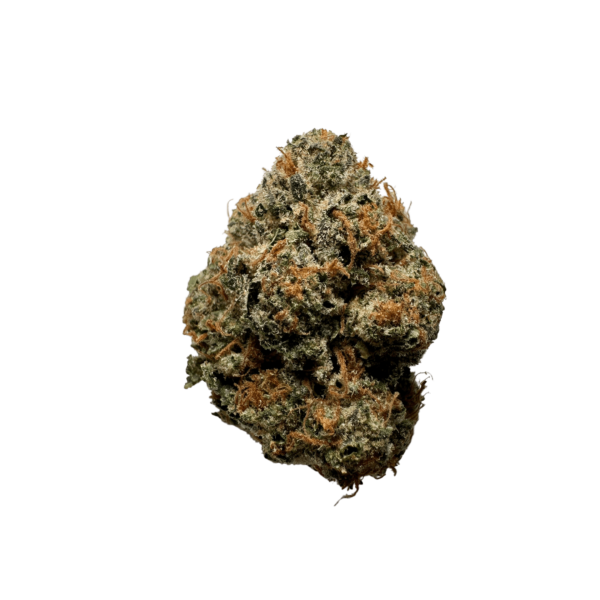 Stardawg Strain