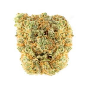 UK Cheese Marijuana Strain