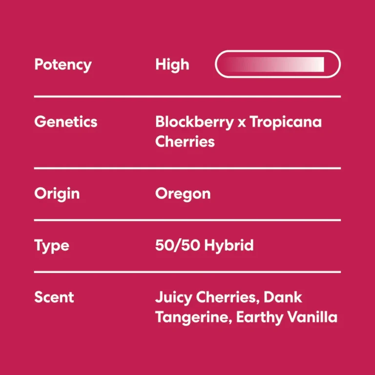 Super Buff Cherry - Image 5