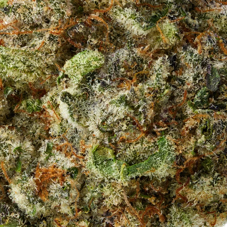 Super Buff Cherry - Image 3