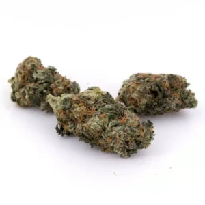 Pink Kush strain UK cannabis buds
