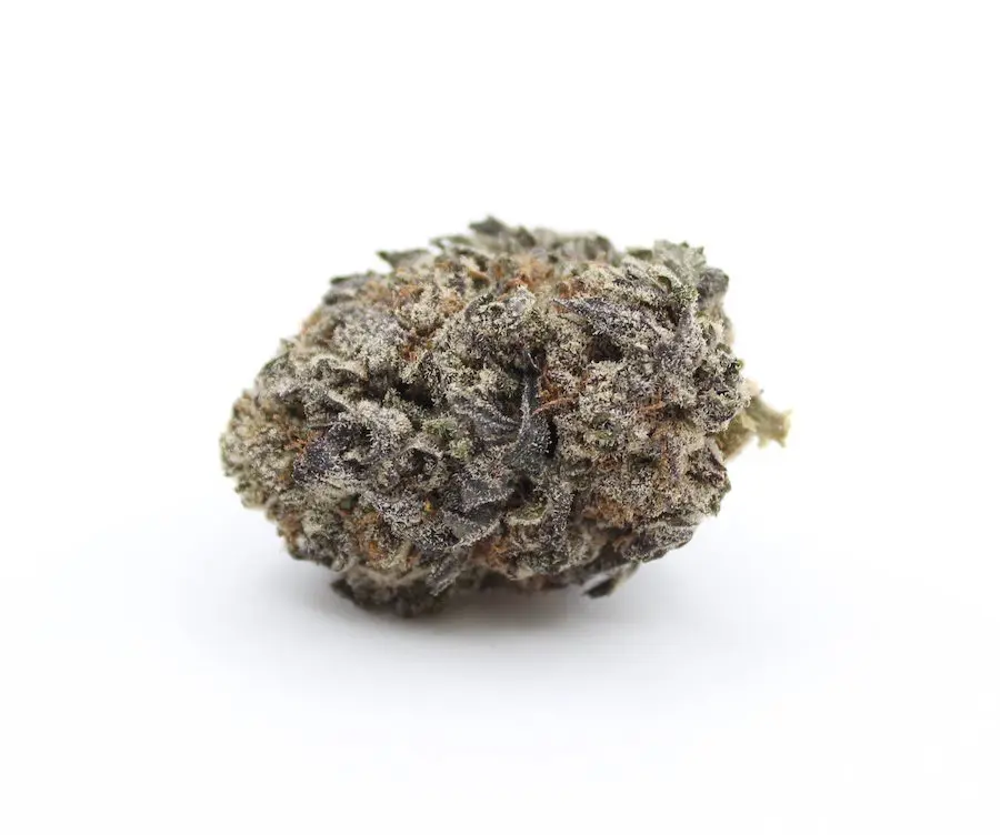 Granddaddy Purple - Image 2