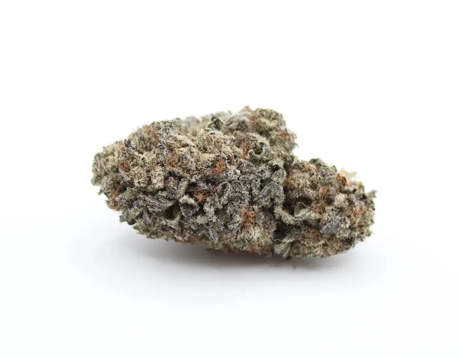 Granddaddy Purple - Image 3