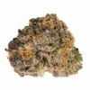 purple urkle strain