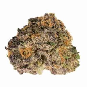 purple urkle strain