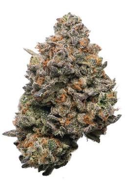 Prescription-grade Cali weed medical cannabis flower featuring dense frosted trichomes and bright amber pistils