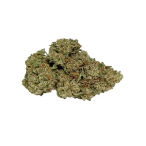Trainwreck Strain